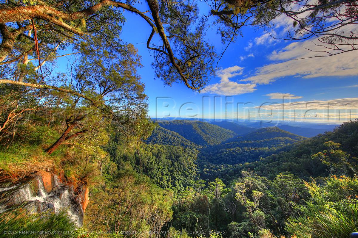 Peter Bellingham Photography Canyon Lookout - Springbrook National Park - QLD SQ (PB5D 00 3975)